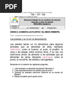 Guia de Estudio Tercero Uso de Las Plantas
