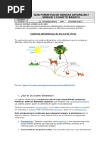 Guía Formativa de Ciencias Naturales 2 Cadenas Troficas