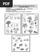 Guia Formativa Unidad 2 El Uso de Las Plantas Tercero Basico