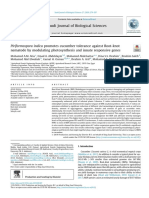 Piriformospora indica promotes cucumber tolerance against Root-knot nematode