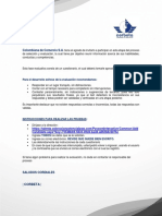 Instructivo Experto Postulante Externo PDF