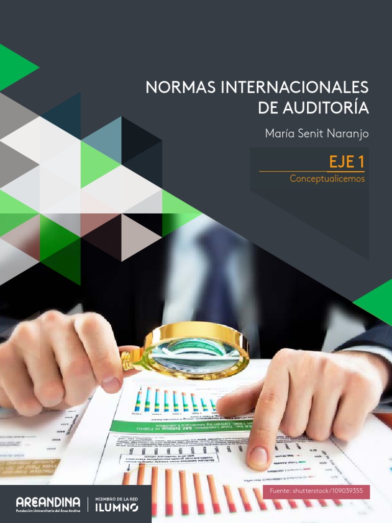Normas Internacionales de Auditoría | PDF | Contralor | Auditoría