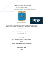 Estudio Petro-Mineralógico para Determinar Ocurrencia de Mineralización en La Zona de Sapuc, Dist