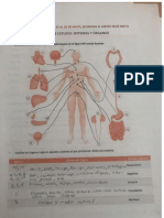 Biologia Organos