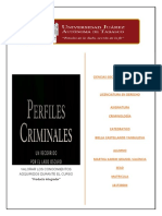 Criminologìa - Perfil Criminal - Pi
