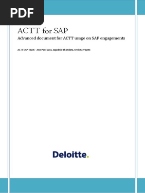 Actt For Sap 10 9 Pdf Scope Computer Science Risk