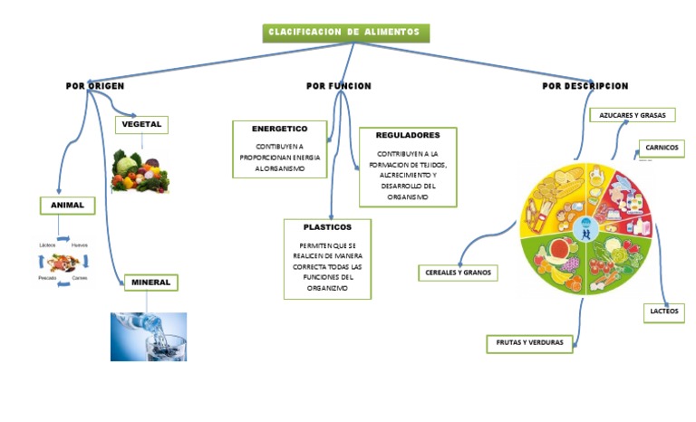 Mapa Conceptual de Clasificación de Alimentos | PDF