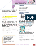 Mycobacterium Tuberculosis