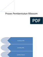 Komponen Struktur Fungsi Dan Pembentukan