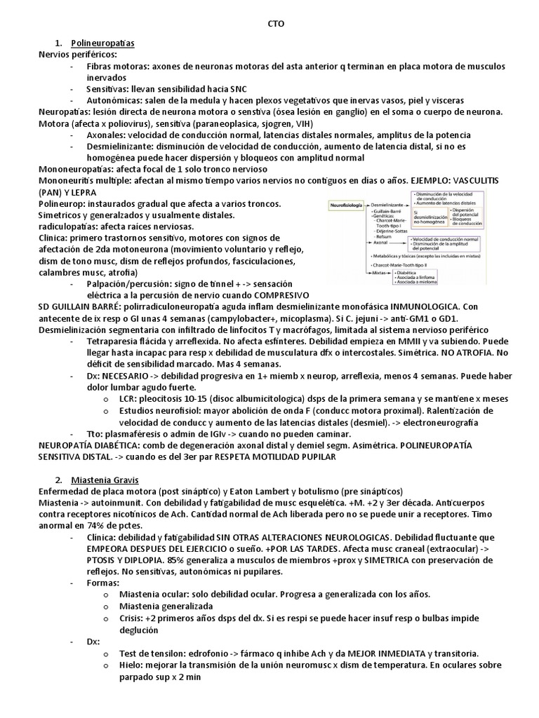 Resumen Neuro | PDF | Nervio | Beta amiloide