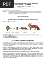 Enseñar La Interdependencia Entre Todos Los Organismos Dentro de Un Ecosistema