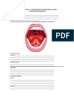 Practica Nro 1 Anatomia Dental y Datos Historicos Forenses