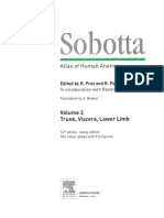 Sobotta_Atlas_of_Human_Anatomy_-_Volume_2 trunk, viscera, lower limb.pdf