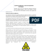 380011284-5-2-Sustancias-Quimicas-Peligrosas-y-Vias-de-Incorporacion-Final.docx