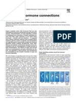 Sugar and Hormone Connections