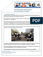 PIO 2017 Feux de Silos Bois Céréales PDF
