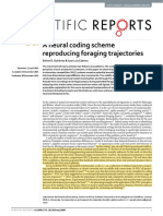 A Neuronal Coding Scheme Reproducing Foragin Trajectories PDF