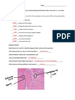 Lab 9 Activities Worksheet - PNS, ANS and Endocrine System