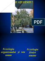 N F Z Curs introductiv.pdf