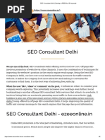 SEO Consultant Delhi