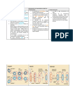 MECANISMOS DE TRANSFERENCIA GENETICA