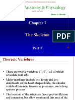 Human Anatomy & Physiology: The Skeleton