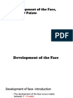 Development of Face - and Palate