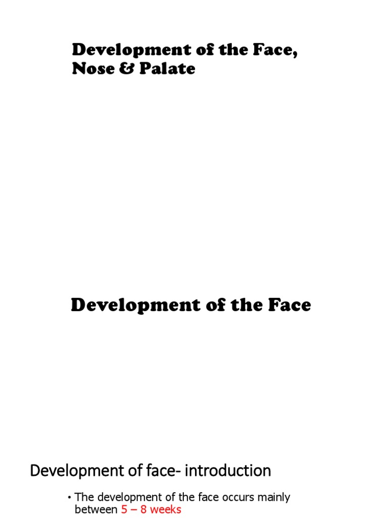 Face and Palate Development Overview | PDF | Human Nose | Facial Features