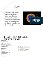 Embryology