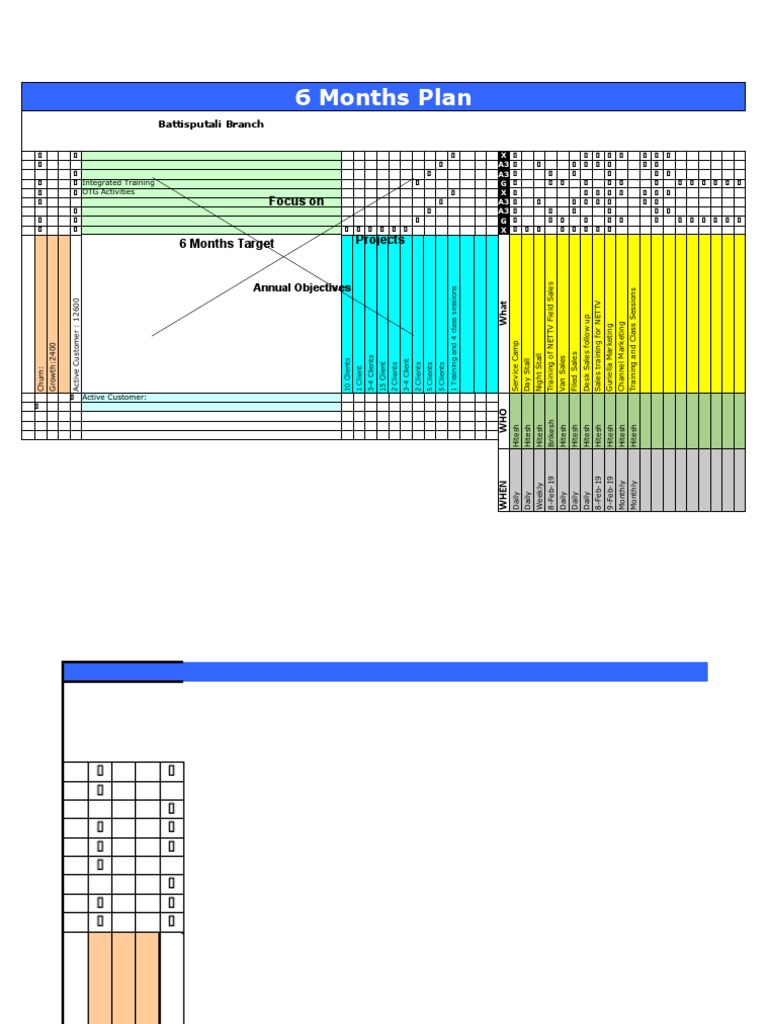 6month Plan of X Matrix 75 76 | PDF | Sales | Information Technology
