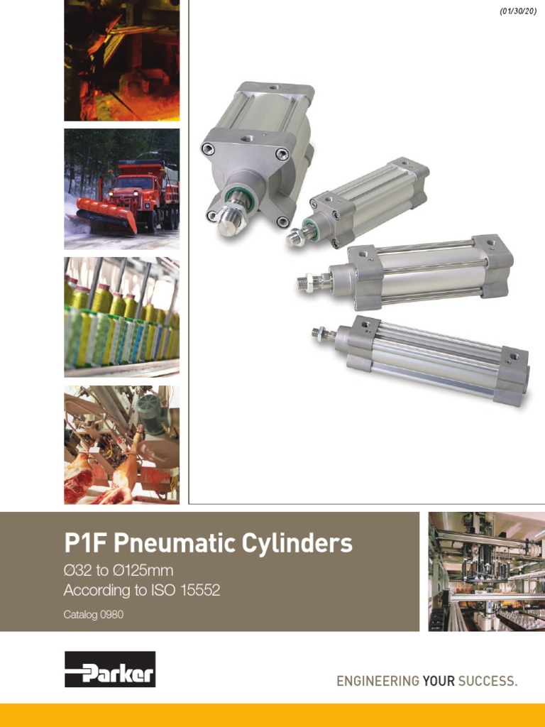 0980 P1F Pneumatic Cylinders | PDF | Piston | Materials