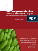 Desempeño de TIZCA 500 SC en El Control Preventivo de La Sigatoka Negra en El Cult