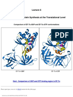 Lecture_6 (2).pdf