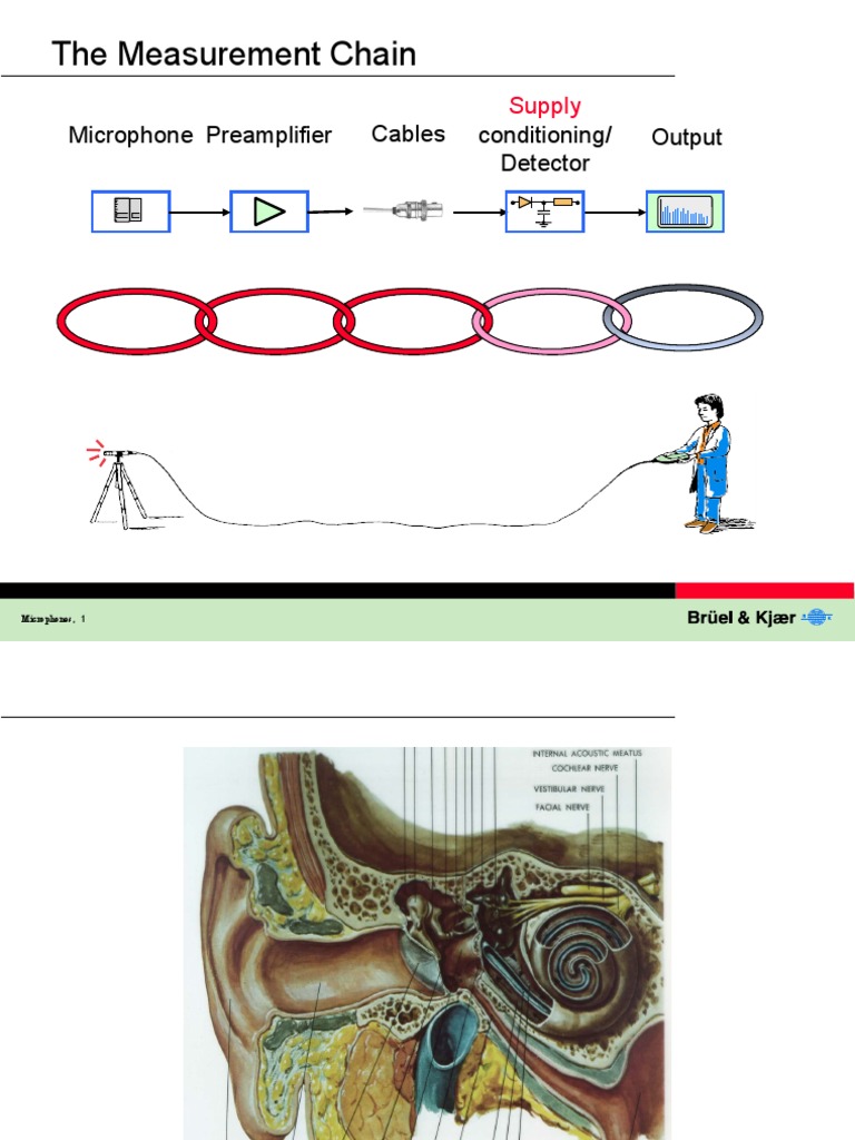 The Measurement Chain: Microphone Preamplifier Conditioning/ Detector ...