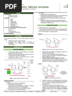 Plenary: Salivary Amylase: Outline