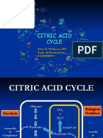 Citrc Acd Cycle