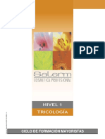 Distribuidornivel 1