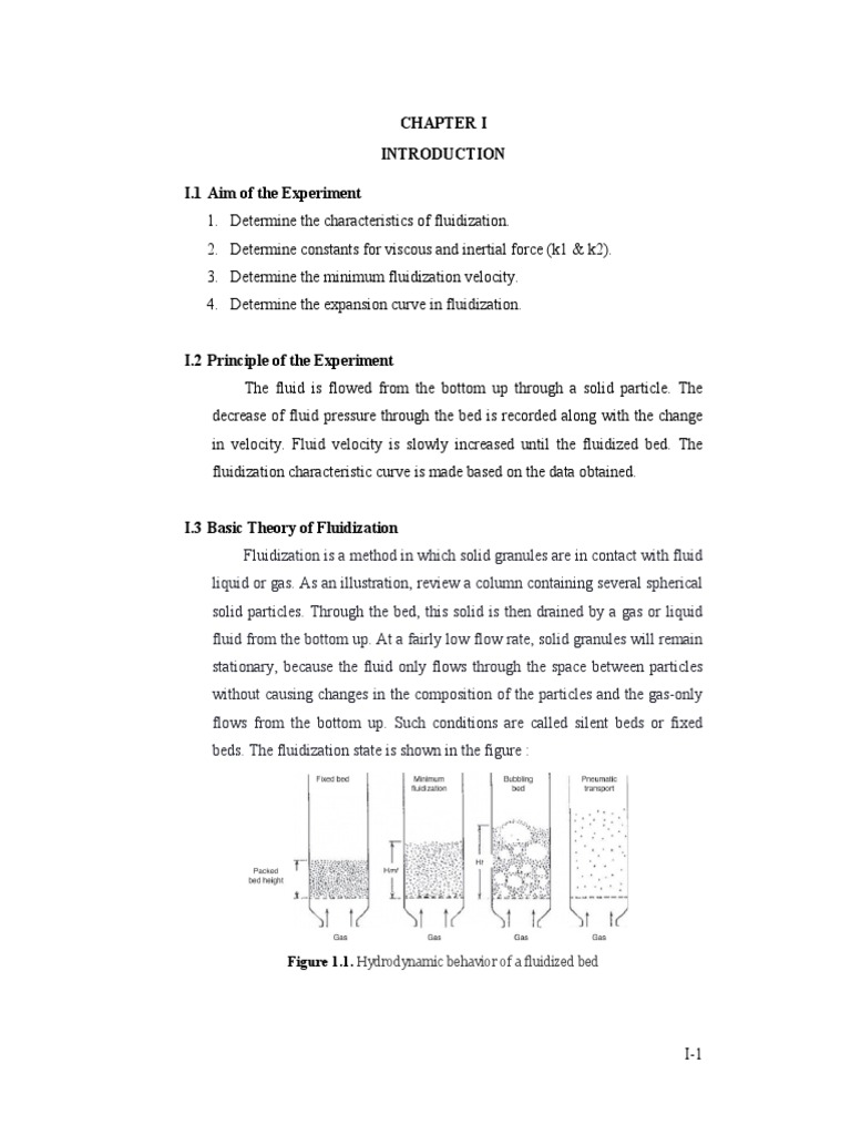 Basic Theory Fluidization (Fluidized Bed) Experiment PDF