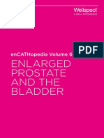 Enlarged Prostate BPH and The Bladder