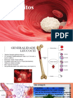 Estructura de Los Leucocitos