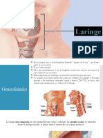 laringe y arbol bronquial.pptx