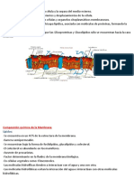Membrana Celular-Resumen