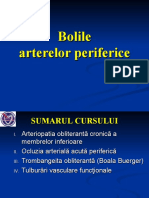 Bolile Arterelor Periferice