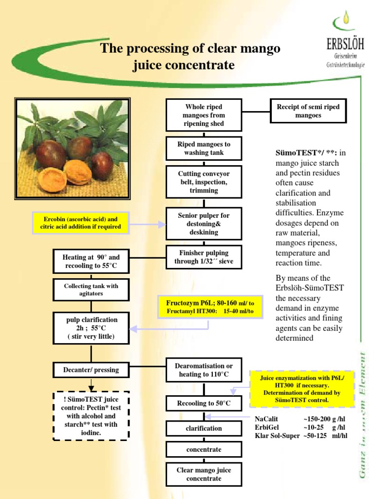 Clear Mango Juice Processing Steps | PDF | Industrial Processes | Chemistry