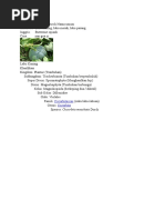 Download Labu Kuning by Auriza Zuri SN46499353 doc pdf