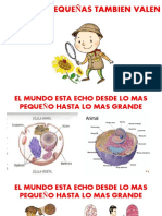 Valorando Las Cosas Pequeñas