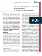 A nuclear ubiquitin-proteasome pathway.full