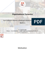 Organisational Dynamics: Term 1