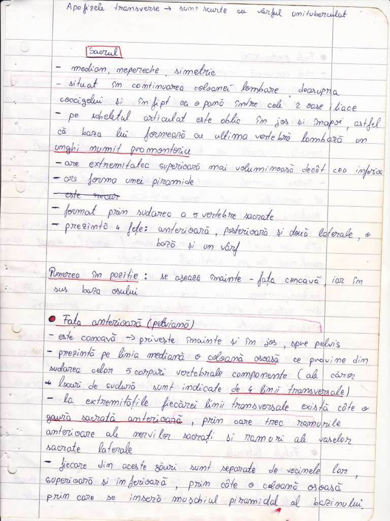 Unreadable Document Text | PDF