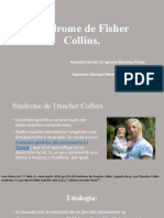Síndrome de Fisher Collins